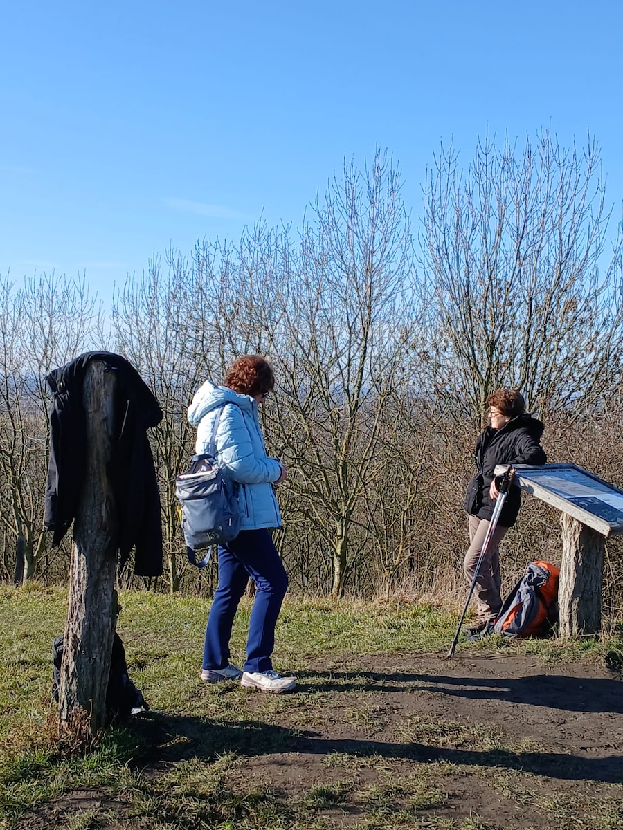 PHOTO-2026-02-11-13-46-28 3