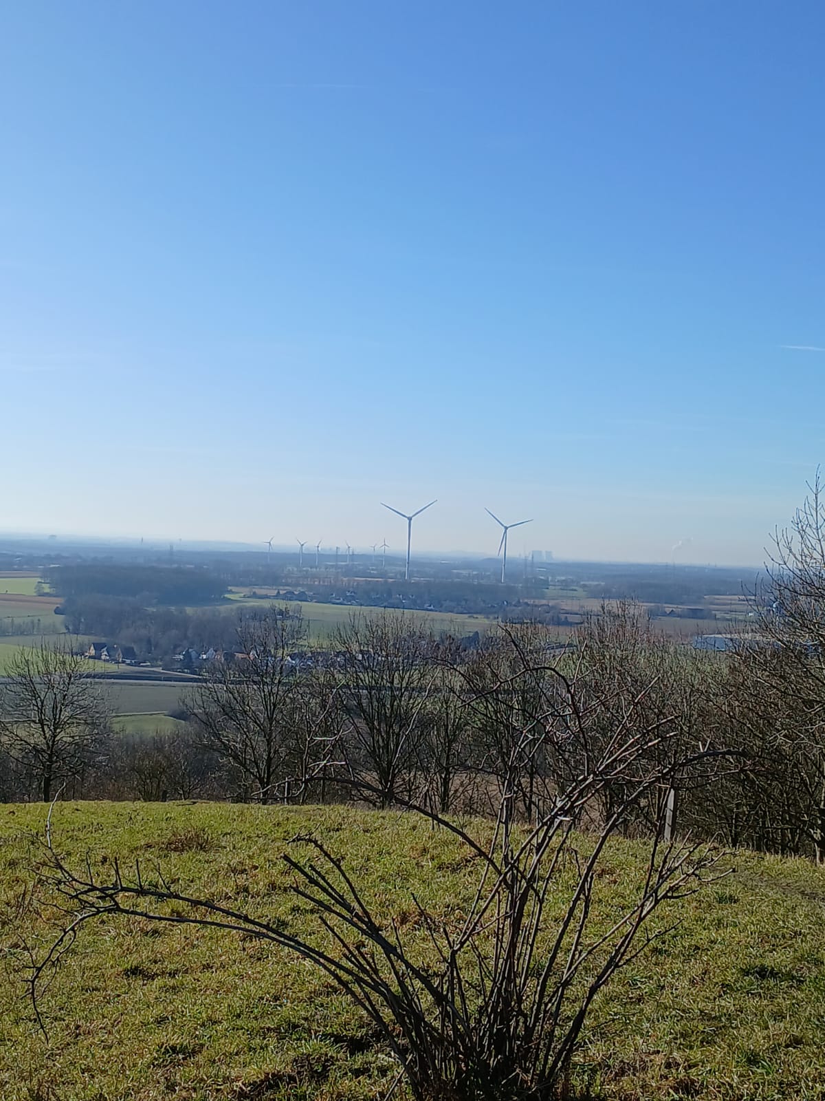 PHOTO-2026-02-11-13-46-28 4