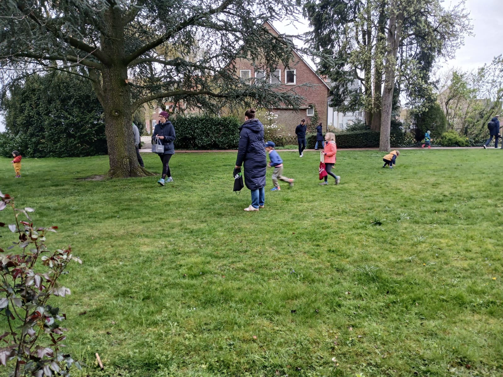 PHOTO-2026-04-05-20-48-38 2