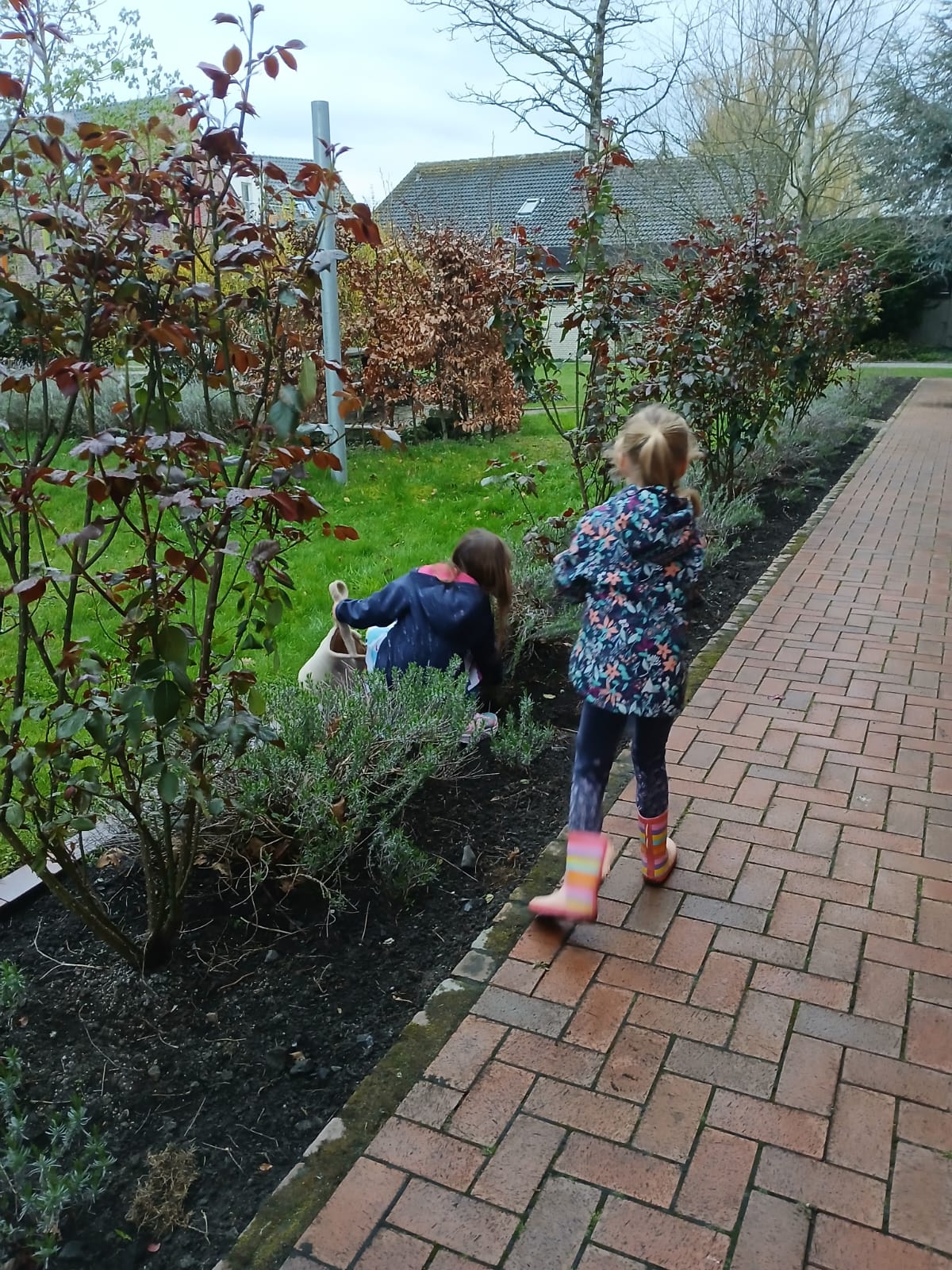 PHOTO-2026-04-05-20-48-44