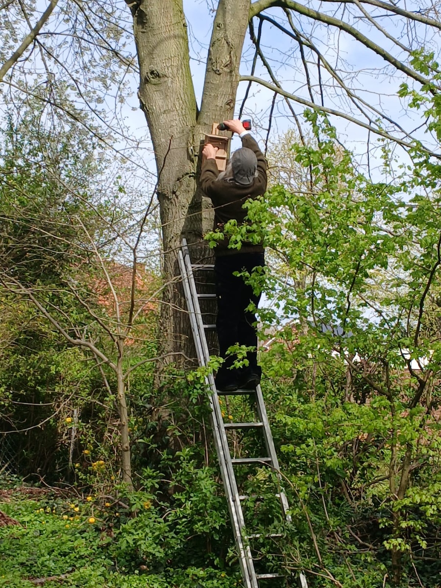 PHOTO5-2026-04-09-23-23-47 3