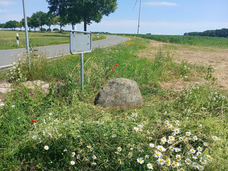 PHOTO-2026-06-21-19-36-36 2